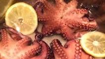 Instant Pot Octopus Instant Pot Octopus