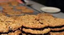 Regal Oatmeal Chocolate Chip Cookies Regal Oatmeal Chocolate Chip Cookies