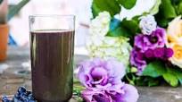 Wild Blueberry Celery Smoothie Wild Blueberry Celery Smoothie