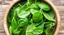Best Healthy Green Leafy Vegetables in India Best Healthy Green Leafy Vegetables in India