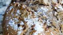 Rye Soda Bread Rye Soda Bread