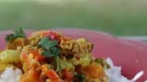 Pork and Vegetable Curry Pork and Vegetable Curry