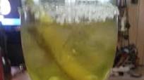 Pickle-rita Pickle-rita