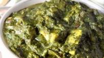 Palak Paneer Palak Paneer