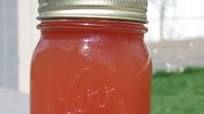Sunshine Rhubarb Juice Concentrate Sunshine Rhubarb Juice Concentrate