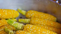 Roaster Oven Corn on the Cob Roaster Oven Corn on the Cob