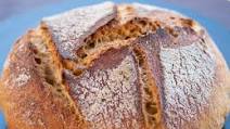 Easy Rustic Whole Wheat Bread **Updated** Easy Rustic Whole Wheat Bread **Updated**