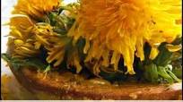 Recipe for Paleo Dandelion Cookies Recipe for Paleo Dandelion Cookies