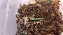 Recipe of Favorite Methi ka Saag with Paneer (Fenugreek leaves) Recipe of Favorite Methi ka Saag with Paneer (Fenugreek leaves)