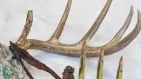 Rage Deer Jerky Recipe Rage Deer Jerky Recipe