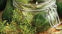 Dill Pickles Power Pressure Cooker XL™ Dill Pickles Power Pressure Cooker XL™