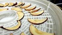 Dehydrating Apples In An Oven Or Dehydrator Dehydrating Apples In An Oven Or Dehydrator