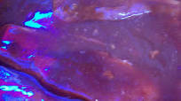 Easy Crock Pot Rootbeer BBQ Ribs Easy Crock Pot Rootbeer BBQ Ribs