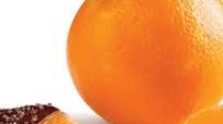 Chocolate-Dipped Orange Slices Chocolate-Dipped Orange Slices