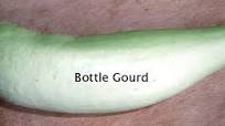Bottle Gourd Raita 1 (Yoghurt), Salt Free, Traditional Method Bottle Gourd Raita 1 (Yoghurt), Salt Free, Traditional Method