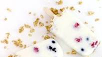 Yogurt Parfait Popsicles Yogurt Parfait Popsicles