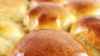 Gluten Free Hamburger and Hot Dog Buns Gluten Free Hamburger and Hot Dog Buns