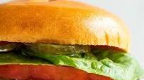 Venison Burger Venison Burger