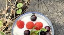 Keto ricotta pudding Keto ricotta pudding