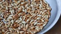 Couscous with Pine Nuts | Recipes Couscous with Pine Nuts | Recipes