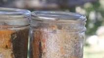Canning Fish Canning Fish
