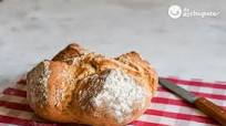 Pan fácil y rápido con harina común y levadura química Pan fácil y rápido con harina común y levadura química