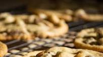 Chocolate Chip Spiced Walnut Cookies Chocolate Chip Spiced Walnut Cookies