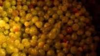 How To make Strawberry Gooseberry Jam How To make Strawberry Gooseberry Jam