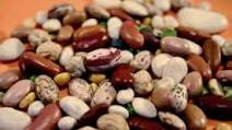 Dried Beans In A Thermos Dried Beans In A Thermos