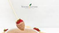 Simply Delicious Cinnamon Fruit Dip Simply Delicious Cinnamon Fruit Dip