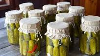 Garlic Dill Pickles Recipe Garlic Dill Pickles Recipe