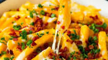 Cheese Fries Cheese Fries