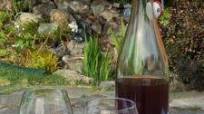 Homemade Plum Wine Homemade Plum Wine