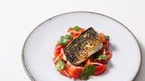 Charred mackerel with tomato ceviche Charred mackerel with tomato ceviche