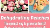 Dehydrating Peaches Dehydrating Peaches