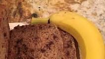 Bread Machine - Chocolate Chip Banana Bread Bread Machine - Chocolate Chip Banana Bread