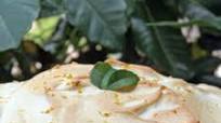 Authentic Florida's Sour Orange Pie Authentic Florida's Sour Orange Pie