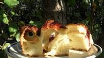 Ricetta Focaccia Dolce con Lievito Naturale Ricetta Focaccia Dolce con Lievito Naturale