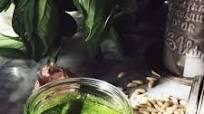 authentic Italian basil pesto authentic Italian basil pesto