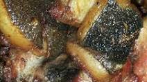 Fried pork meat Fried pork meat