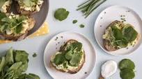 Greek Yogurt Egg Salad Sandwich Greek Yogurt Egg Salad Sandwich