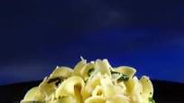 Acme Buttered Noodles Acme Buttered Noodles