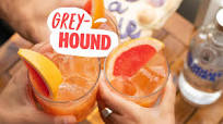 Absolut Greyhound Absolut Greyhound