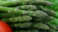 神奇的防癌蘆筍汁 Anti-cancer Magic Asparagus Juice 神奇的防癌蘆筍汁 Anti-cancer Magic Asparagus Juice