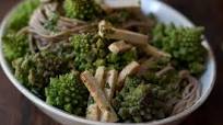 Cilantro Noodle Bowl Cilantro Noodle Bowl