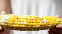 Grilled Corn with Tzatziki Crema Grilled Corn with Tzatziki Crema