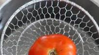 Freezing Summer Tomatoes Freezing Summer Tomatoes