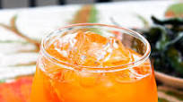 The Perfect Cocktail for Your Cuties: The Clementine Cocktail The Perfect Cocktail for Your Cuties: The Clementine Cocktail