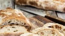 Sourdough Ciabatta Bread Sourdough Ciabatta Bread
