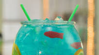 The Fishbowl The Fishbowl